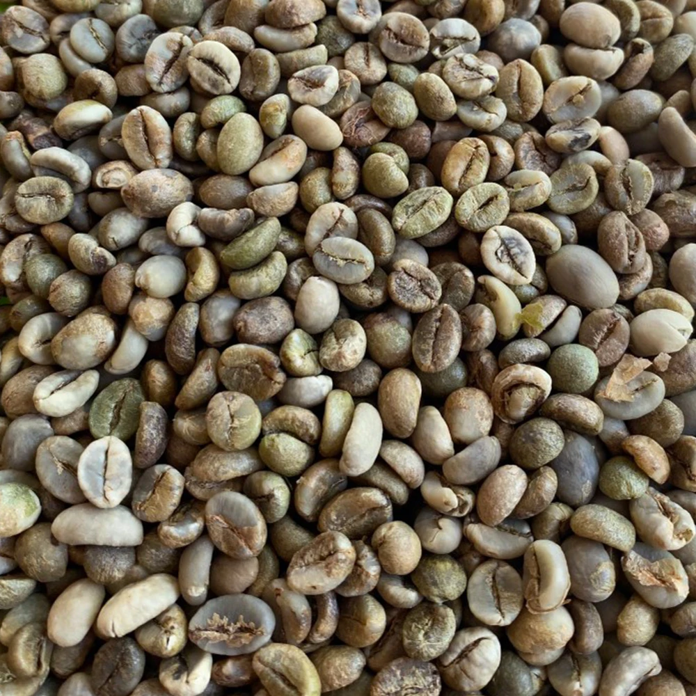 S18 S18
